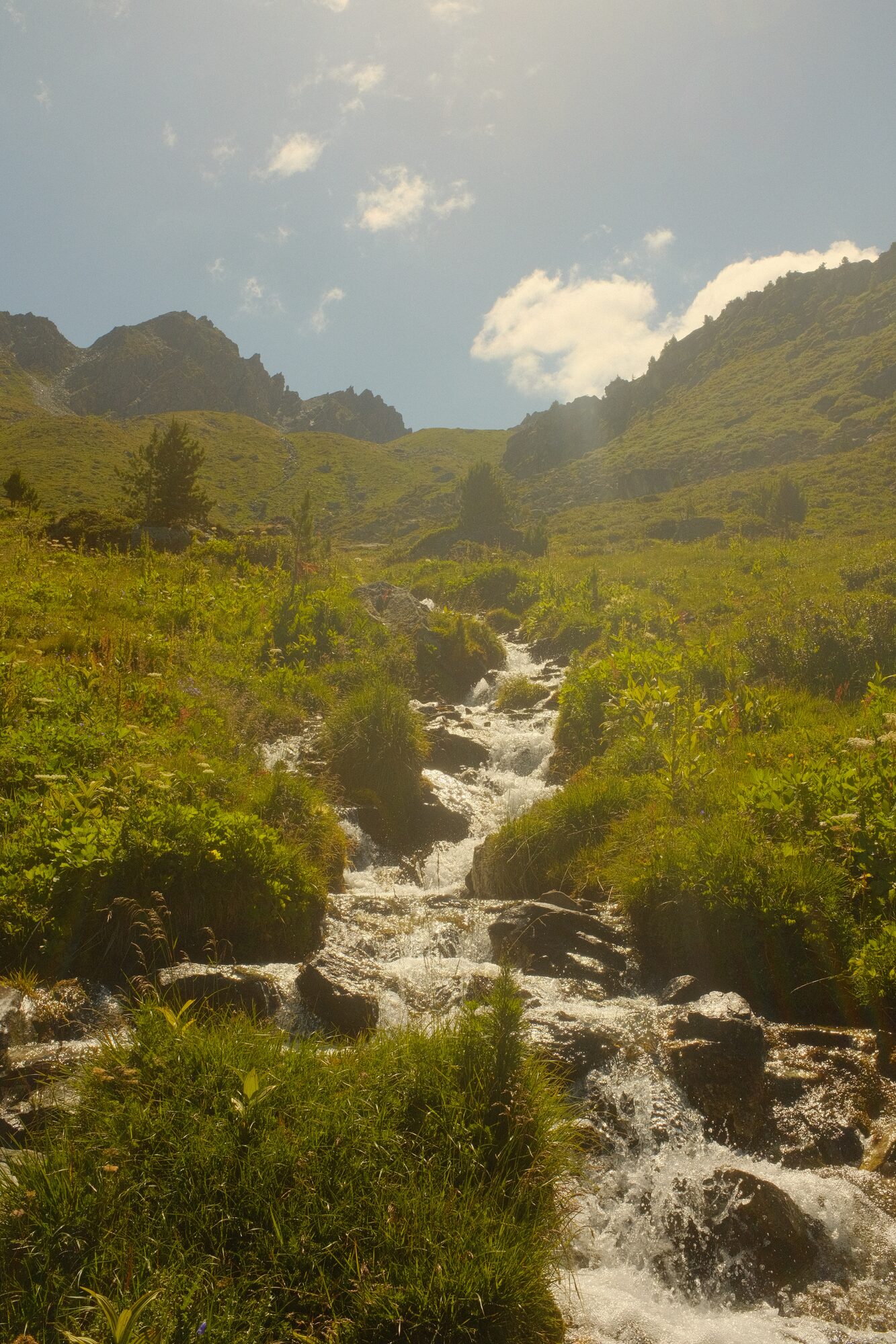 Mountain stream along the Combatseline to Lac de Cleuson hiking trail, Siviez